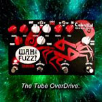 Cancer Wah the Fuzz? by Nikki Sinn